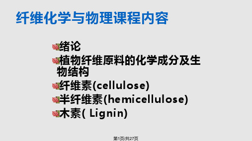 纤维化学与物理PPT课件