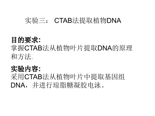 CTAB法提取植物DNA