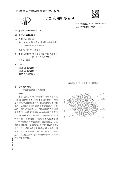 【CN209616892U】一种带有拓展功能的汽车踏板【专利】