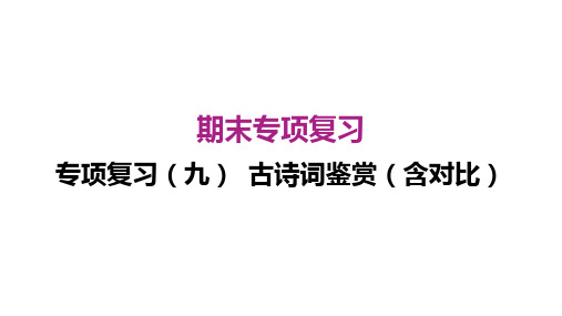 部编人教版语文 八下期末专项复习(九) 古诗词鉴赏(含对比)