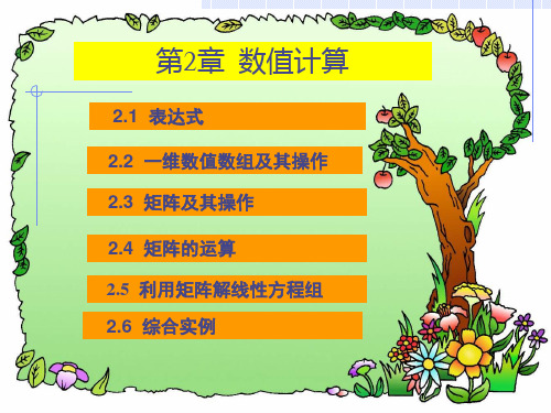 matlab第2章 数值计算