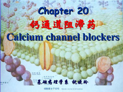 Chapter 20 钙通道阻滞药 Calcium channel blockers