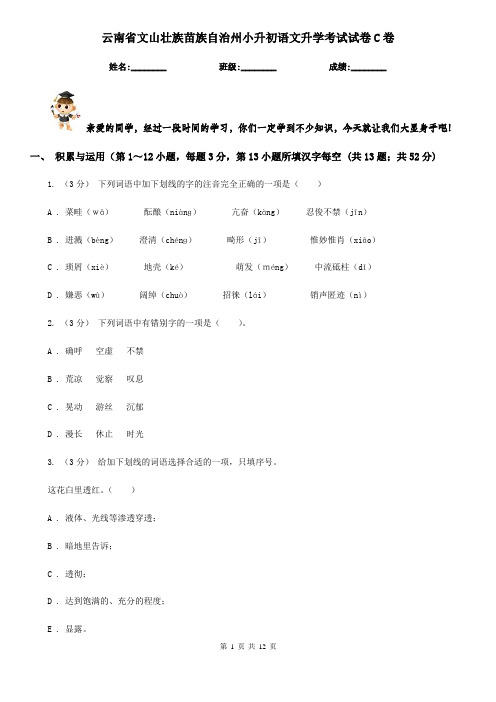 云南省文山壮族苗族自治州小升初语文升学考试试卷C卷