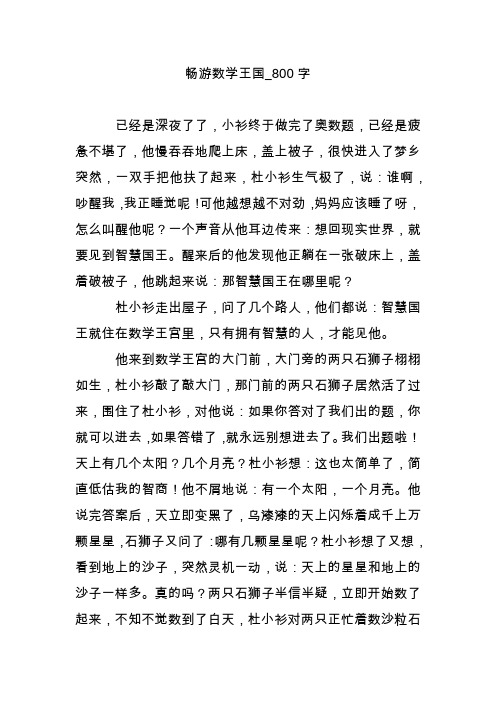 畅游数学王国_800字