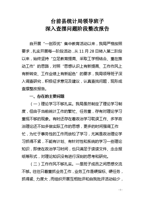 台前县统计局领导班子整改报告