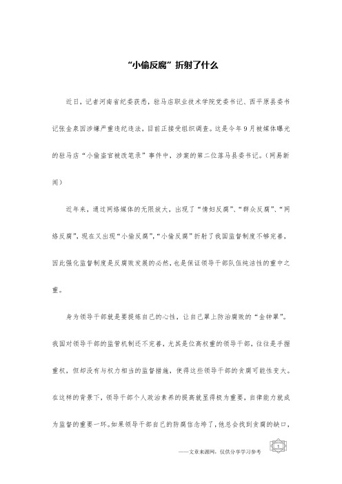 “小偷反腐”折射了什么