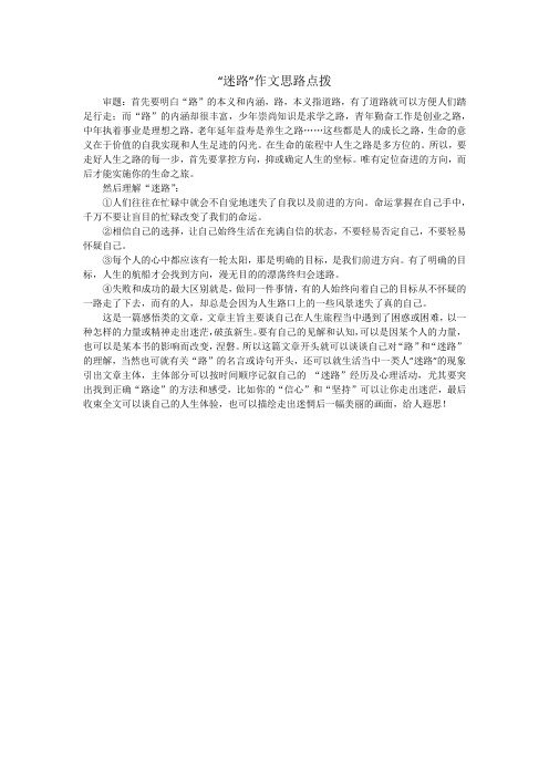 “迷路”作文思路点拨