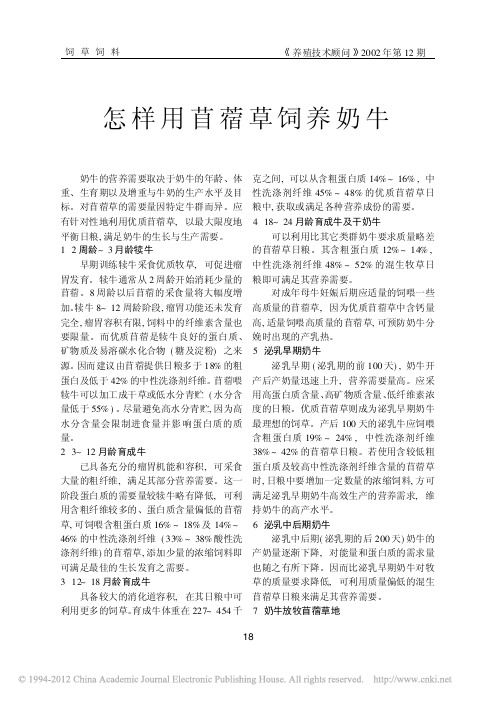 怎样用苜蓿草饲养奶牛