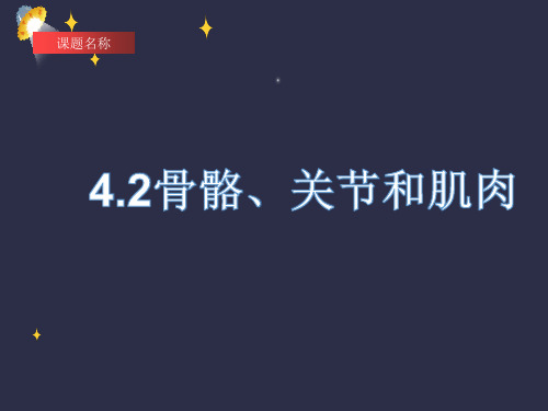 骨骼、关节和肌肉的关系四年级上科学《骨骼、关节和肌肉》公开课课件PPT