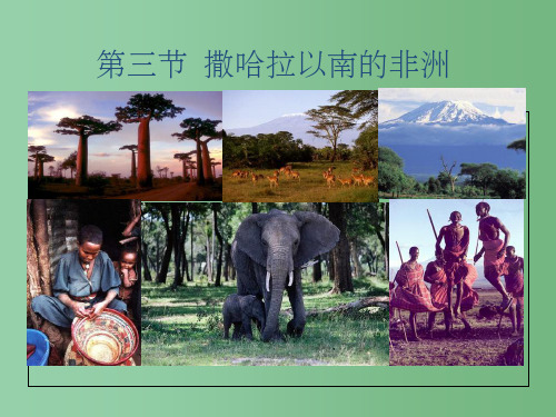 七年级地理下册《8.3 撒哈拉以南的非洲》课件(2) 人教新课标版