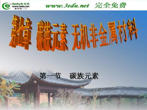 《高一化学碳族元素》PPT课件