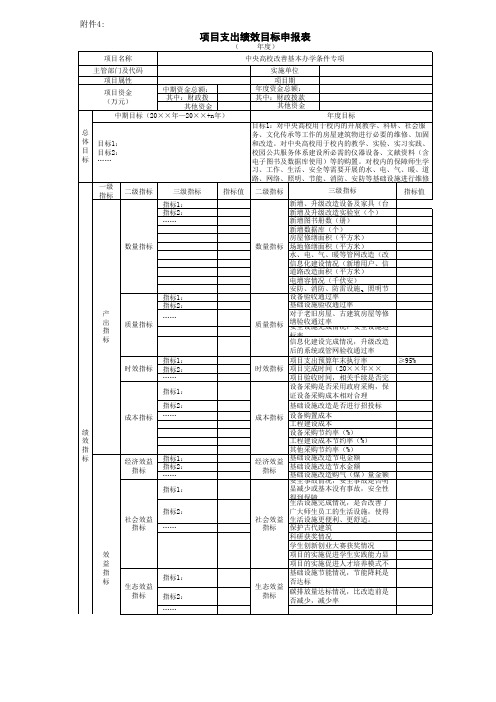 项目支出绩效目标申报表参考模板.xls