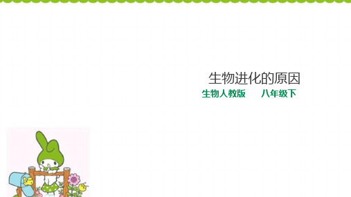 人教版生物八年级下册 7.3.3生物进化的原因  课件(共22张PPT)