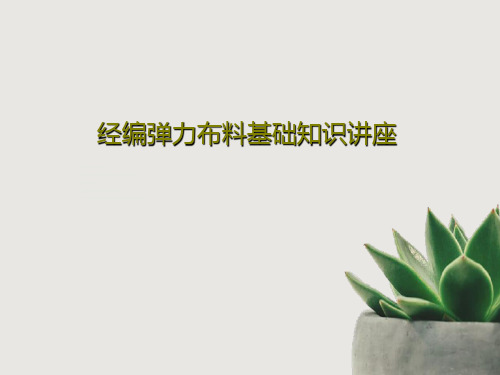 经编弹力布料基础知识讲座共34页文档