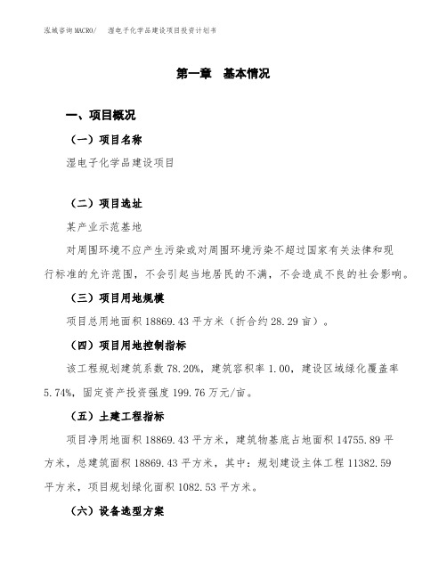 湿电子化学品建设项目投资计划书