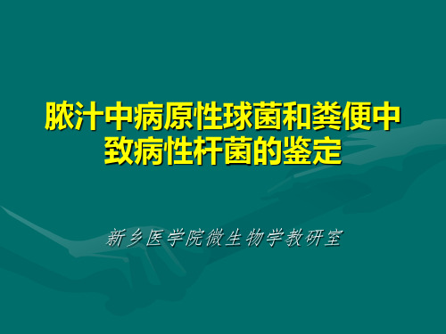 〖医学〗脓汁中病原性球菌和粪便中致病性杆菌的鉴定