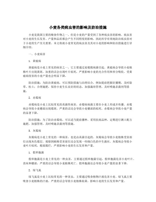 小麦各类病虫害的影响及防治措施