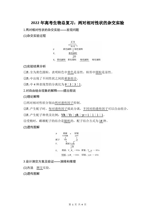 两对相对性状的杂交实验