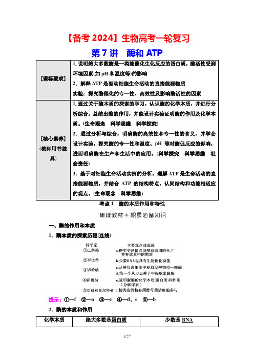 【备考2024】生物高考一轮复习：第7讲 酶和ATP