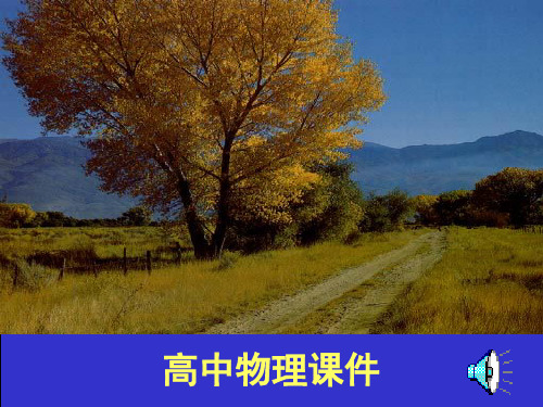 声波