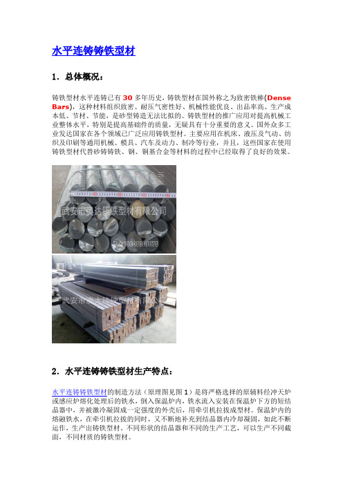 水平连铸铸铁型材简介