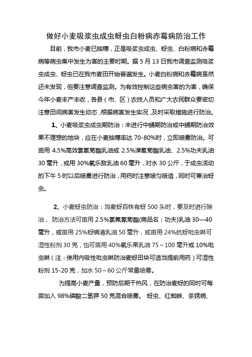 做好小麦吸浆虫成虫蚜虫白粉病赤霉病防治工作