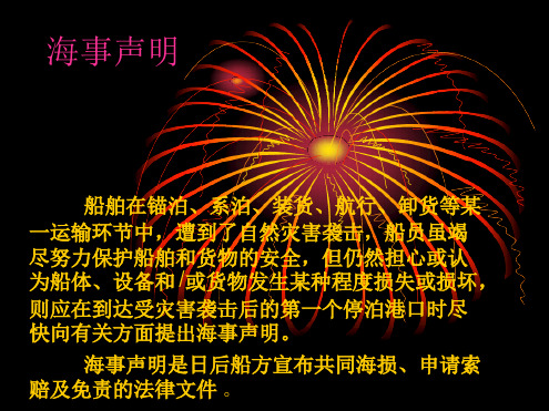 海事声明与海事报告
