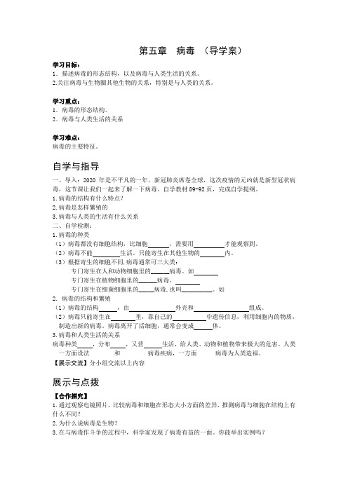 第五章  病毒导学案