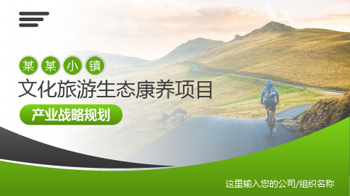 文化旅游生态康养项目产业战略规划