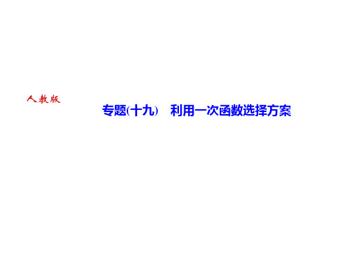 人教版八年级数学下册课件：专题(十九) 利用一次函数选择方案(共17张PPT)