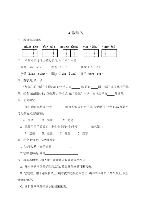 人教部编版五年级语文上册一课一练4珍珠鸟(含答案)