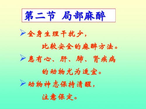局部麻醉