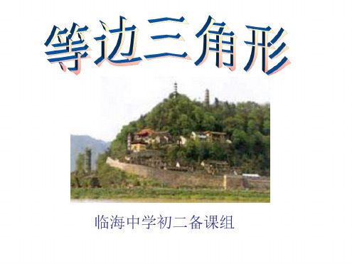 八年级数学等边三角形1