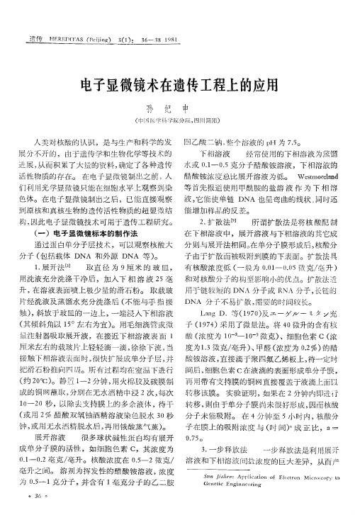 遗传学实验― 果蝇实验
