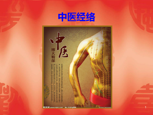 足少阴肾经PPT课件