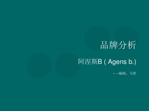 阿涅斯b