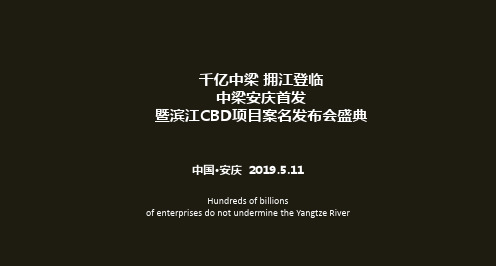 2019中梁安庆首发暨滨江CBD项目案名发布会盛典活动策划方案-50P