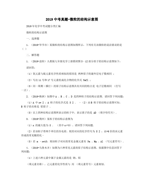 2019中考真题-微粒的结构示意图