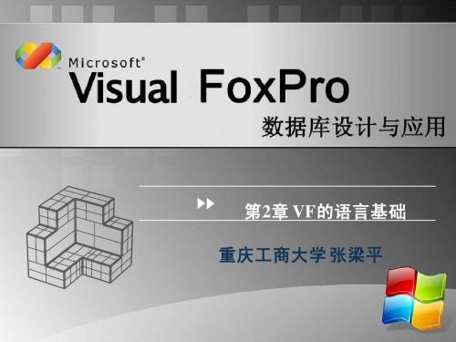 VF第二章 VF的语言基础Y