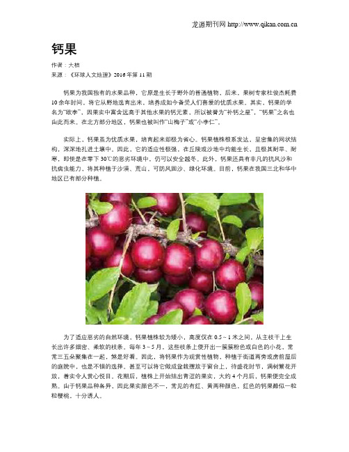 钙果