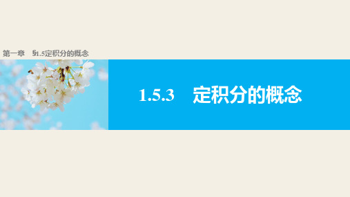 数学选修2-2人教新课标A版1-5-3定积分的概念课件(32张)