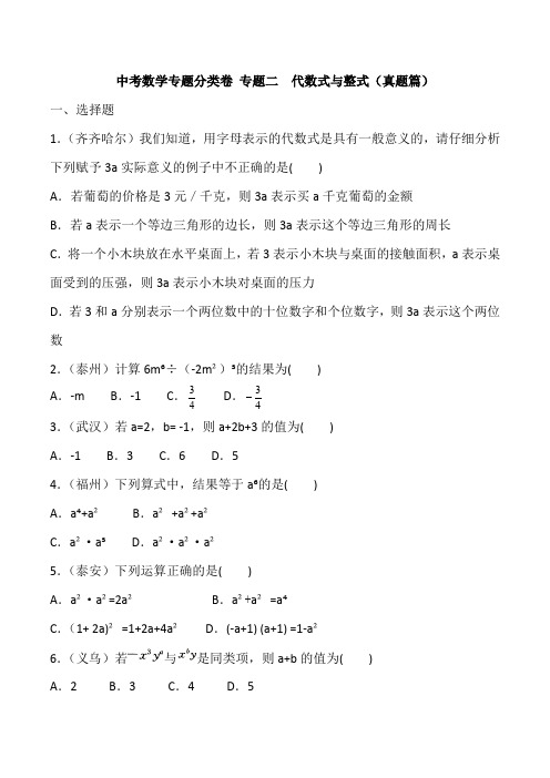 中考数学专题分类卷 专题二  代数式与整式(真题篇)(含答案)