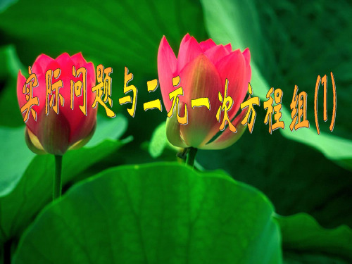 再探实际问题与二元一次方程组