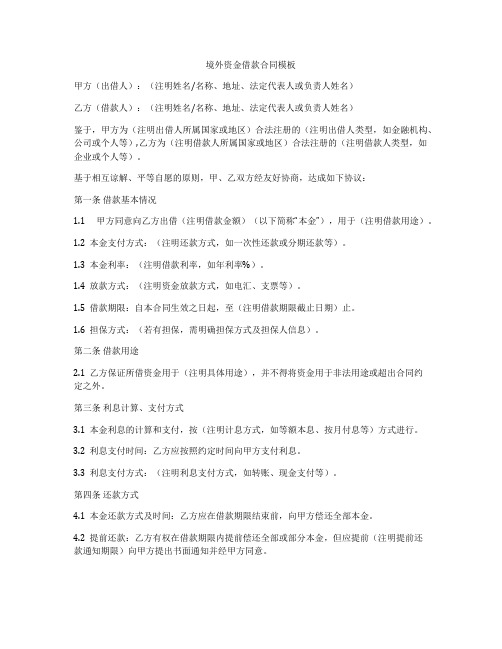 境外资金借款合同模板