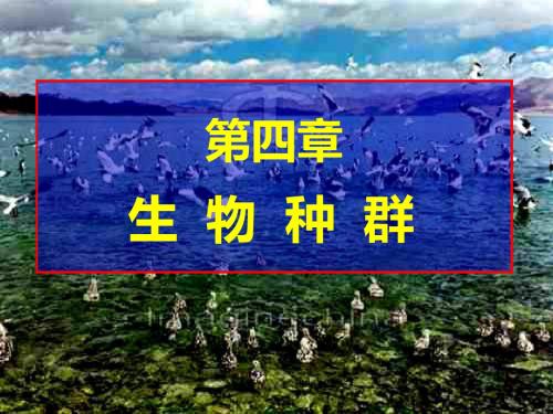 生物种群