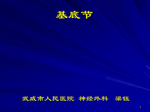 基底节解剖PPT课件