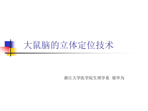 大鼠脑的立体定位技术
