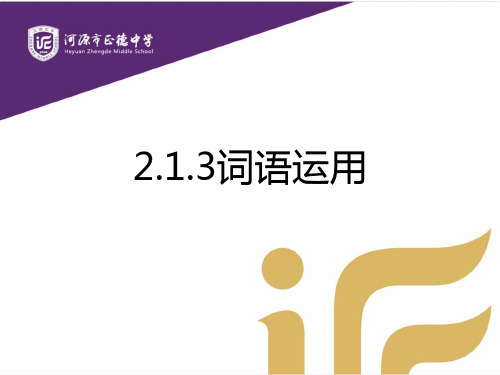 词语运用课件-广东省河源市正德中学九年级语文下册课件(共21张PPT)