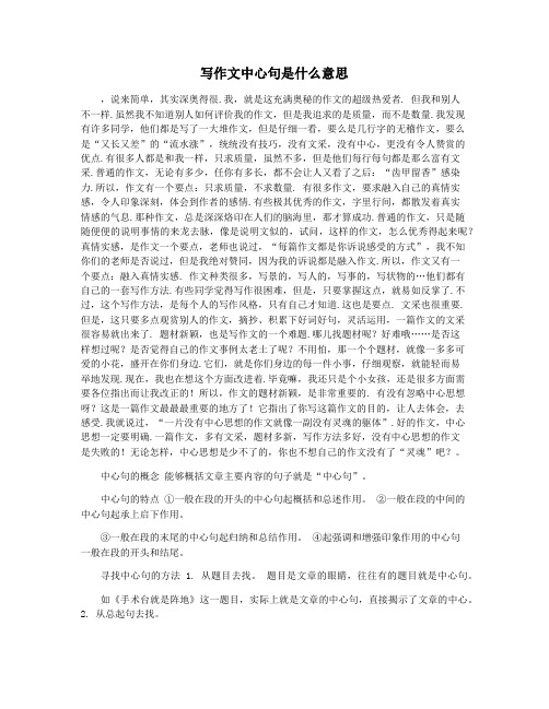 写作文中心句是什么意思