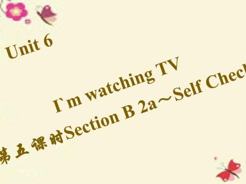 【四清导航】七年级英语下册 Unit 6 I’m watching TV(第5课时)Section B(2a-Self Check)课件